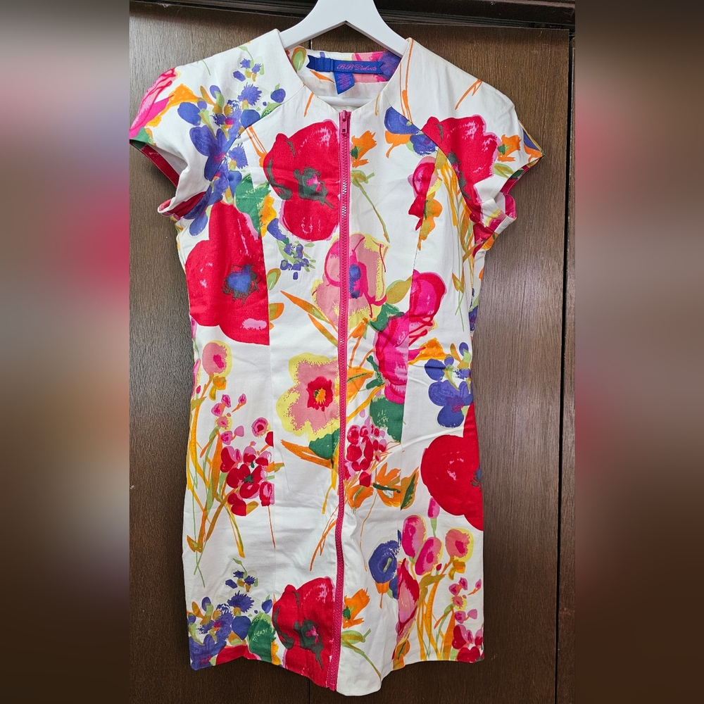 BB Dakota Mini dress /tunic top